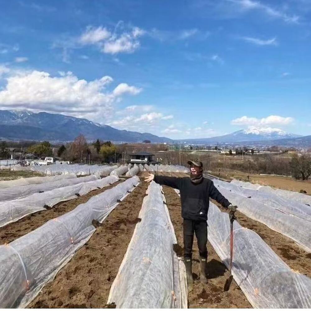 What is row cover?