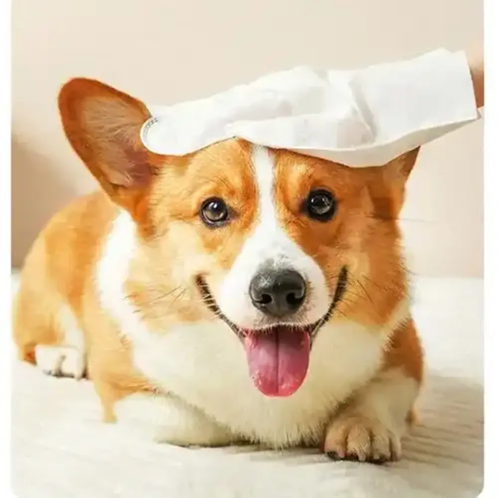What is a disposable pet non-woven fabric cleaning towel (glove)?