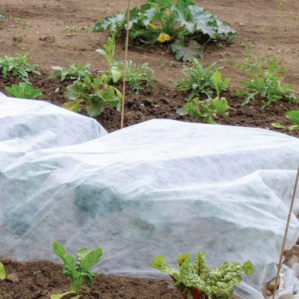 Why Choose Polypropylene Spunbond Nonwoven Fabric as Winter Cover for Agricultural Crops?