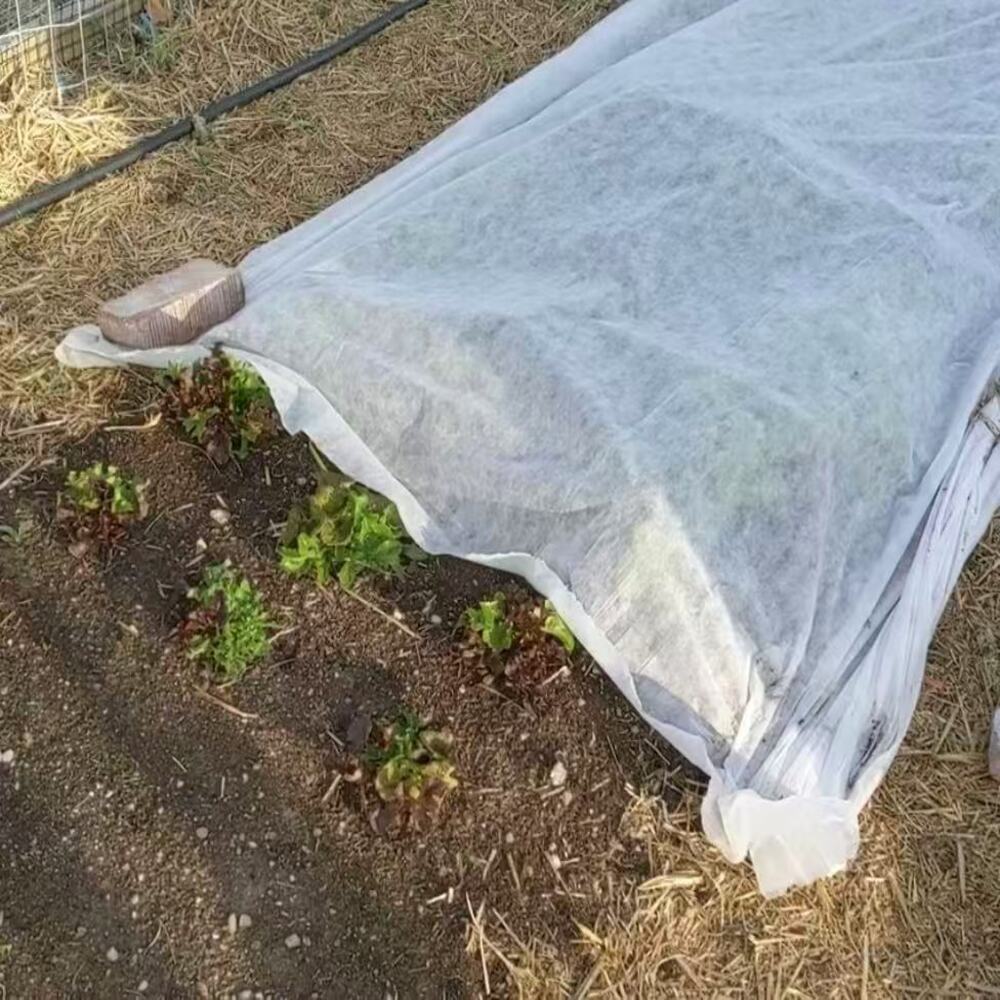 Horticulture fleece