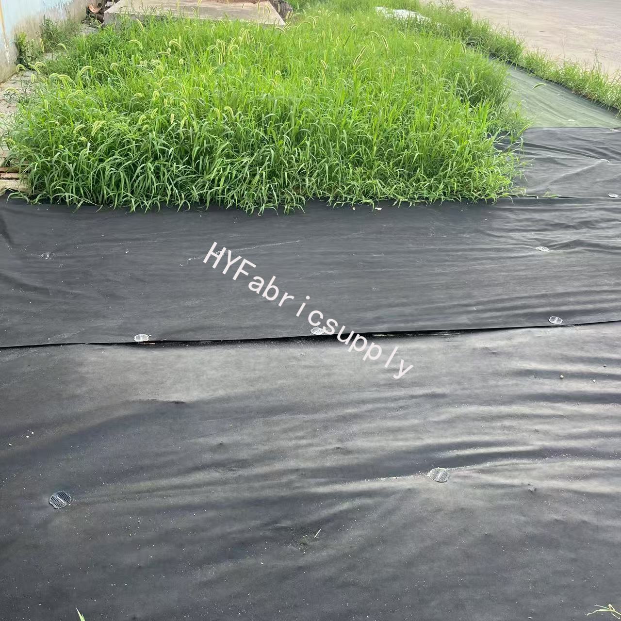 How to select the appropriate weight when using polypropylene spunbond non-woven fabric as a weed barrier?