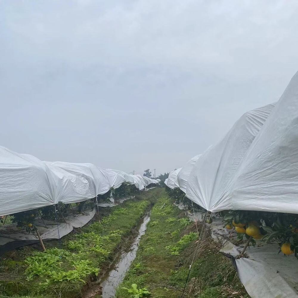 Wholesale custom-made reusable 4-16-meter-wide farm crops, citrus tree frost protection and cold protection non-woven fabric