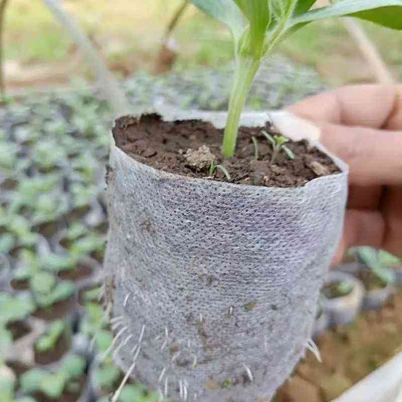 Non-woven fabric grow bags
