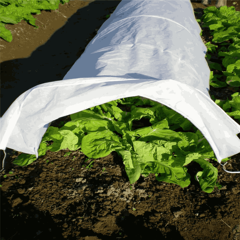 Agricultural Horticulture PP Nonwoven Plant Fleece frost fabric crop cover