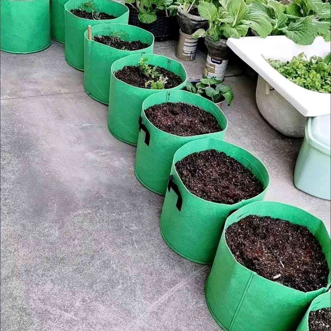 Non-woven fabric grow bags