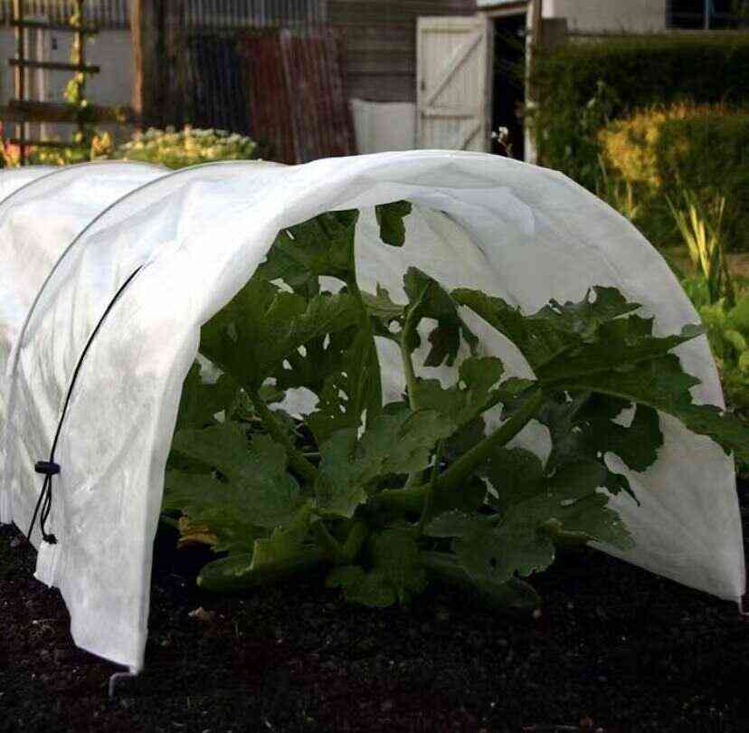 Low tunnel hoops for row cover