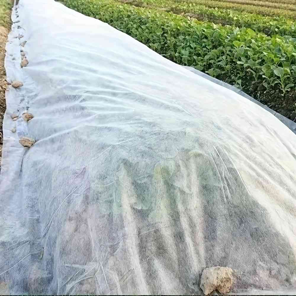 Polypropylene agrotextiles plant cover